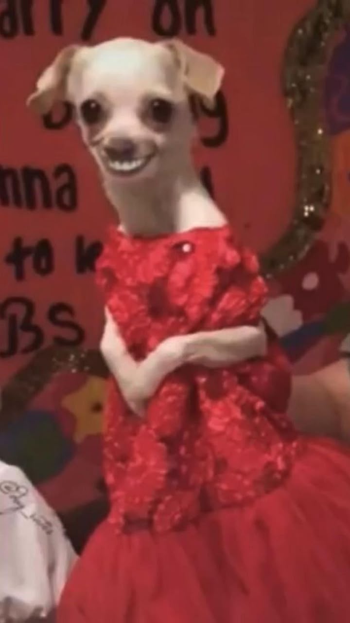 زوجة مستر حمودة — Mr. Hamooda's wife